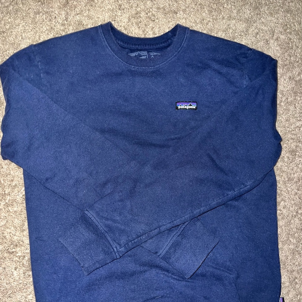 Patagonia Sweatshirt